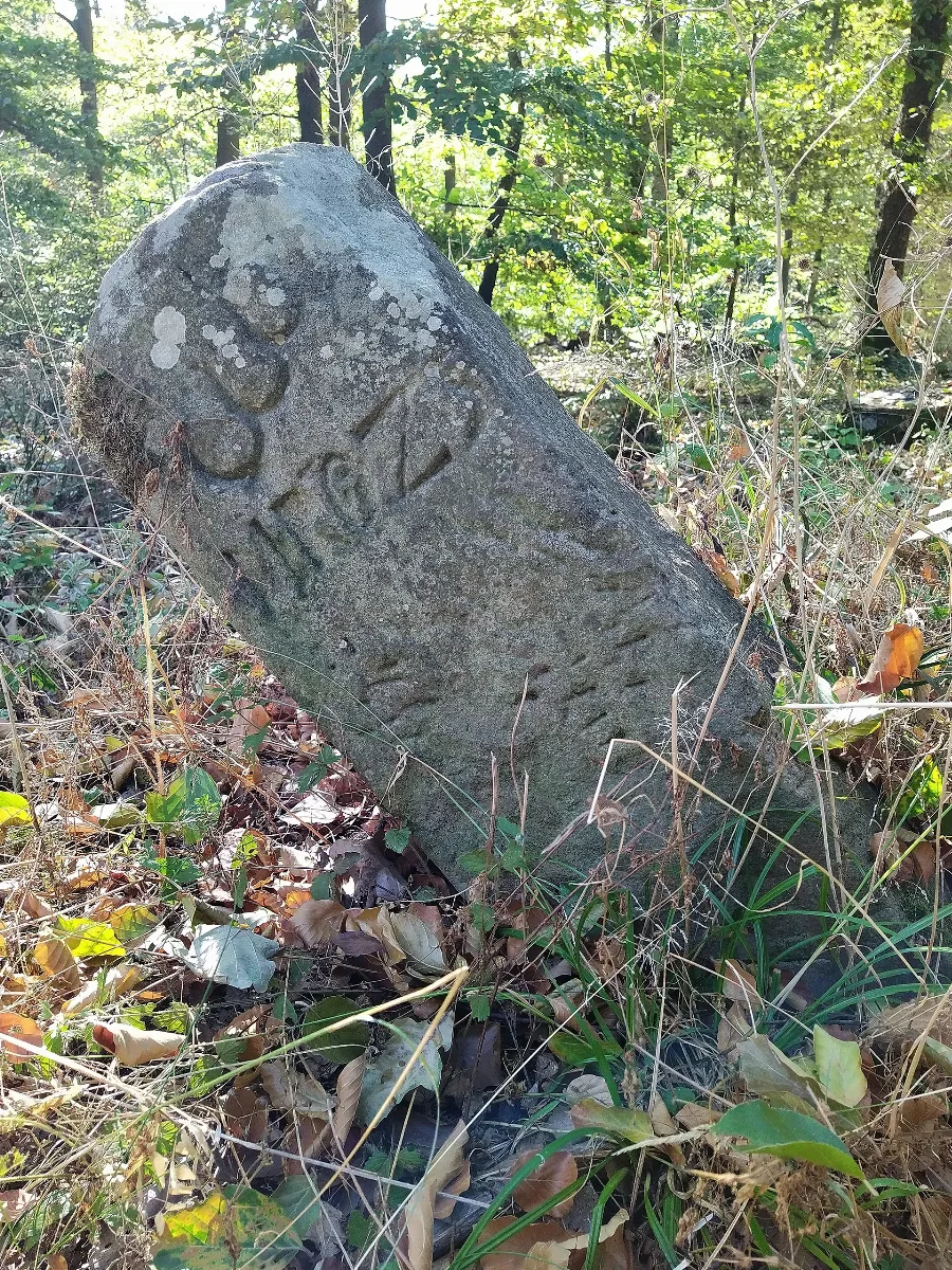 Grenzstein Im Stromberg 3