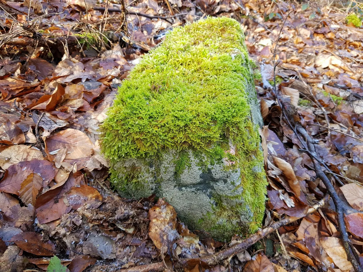Grenzstein Kreuzweg (Stuttgart) Nr 74 Koordinaten (Oben)