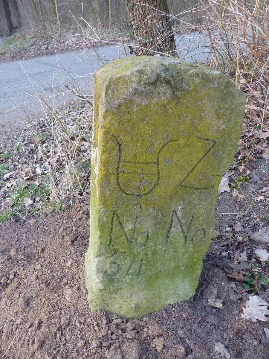 Grenzstein Schützenwiesenwald Nr 64