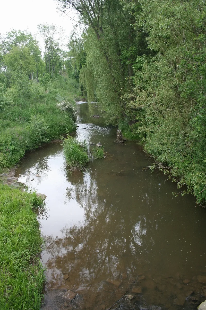 Gruendau In Langenselbold
