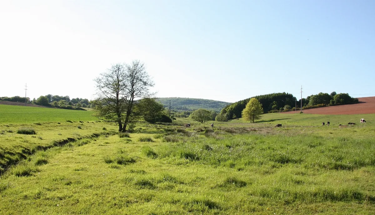 Güdesweiler Gombachtal 20100523 01