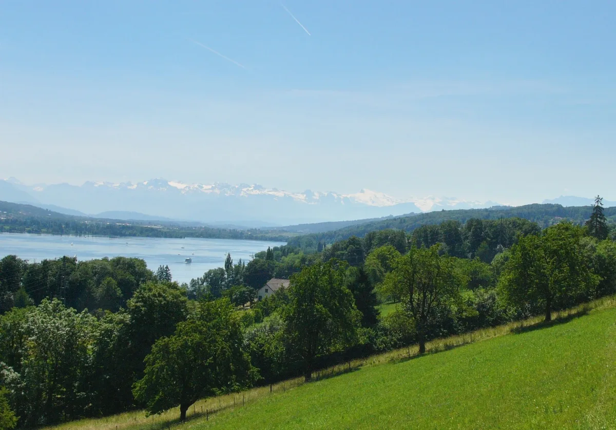 Halwiler See05