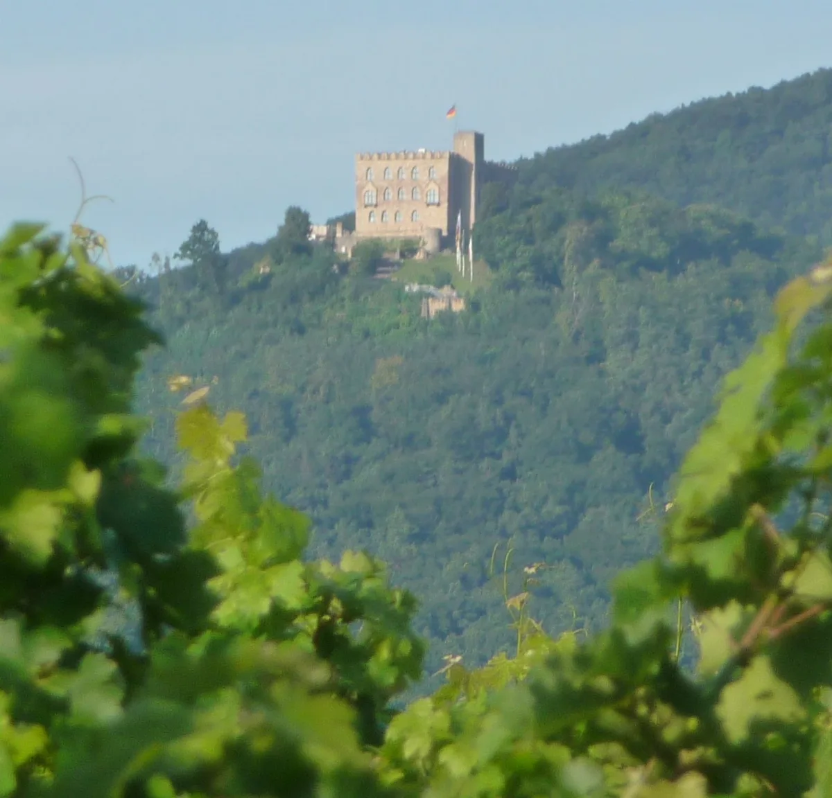Hambacher Schloss Panoramio Immanuel Giel