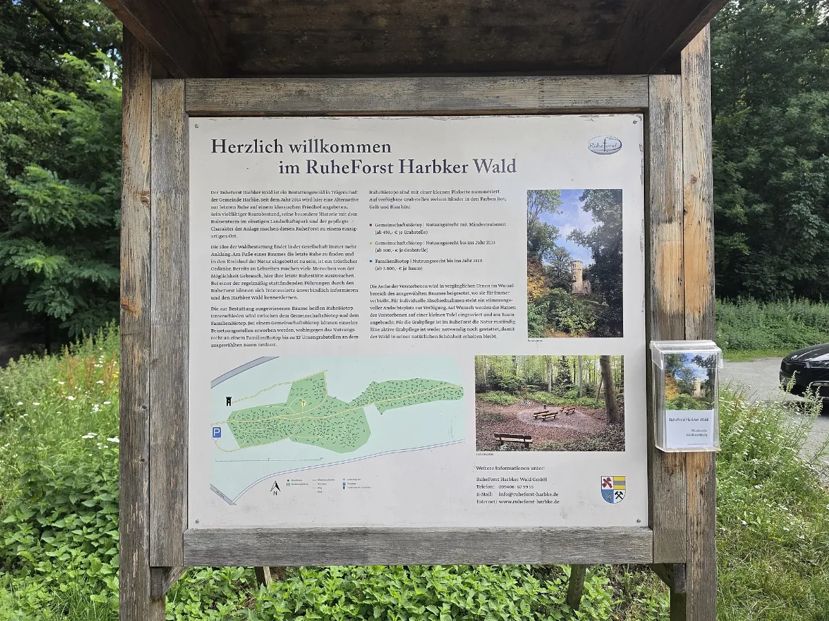 Harbke 20260807 Ruheforst