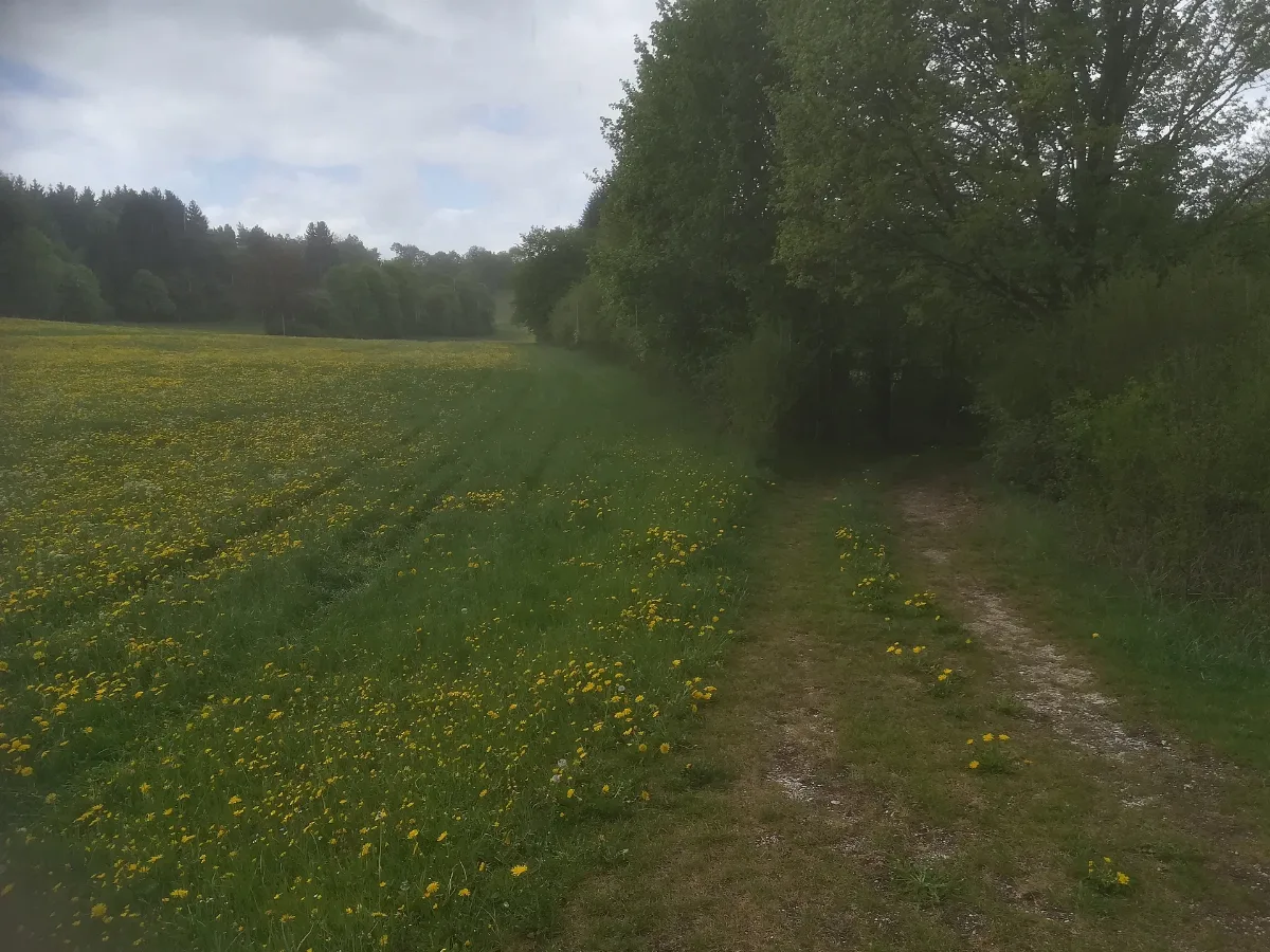 Hasenloch