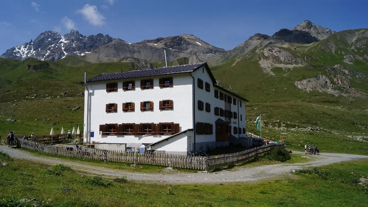 Heidelbergerh O