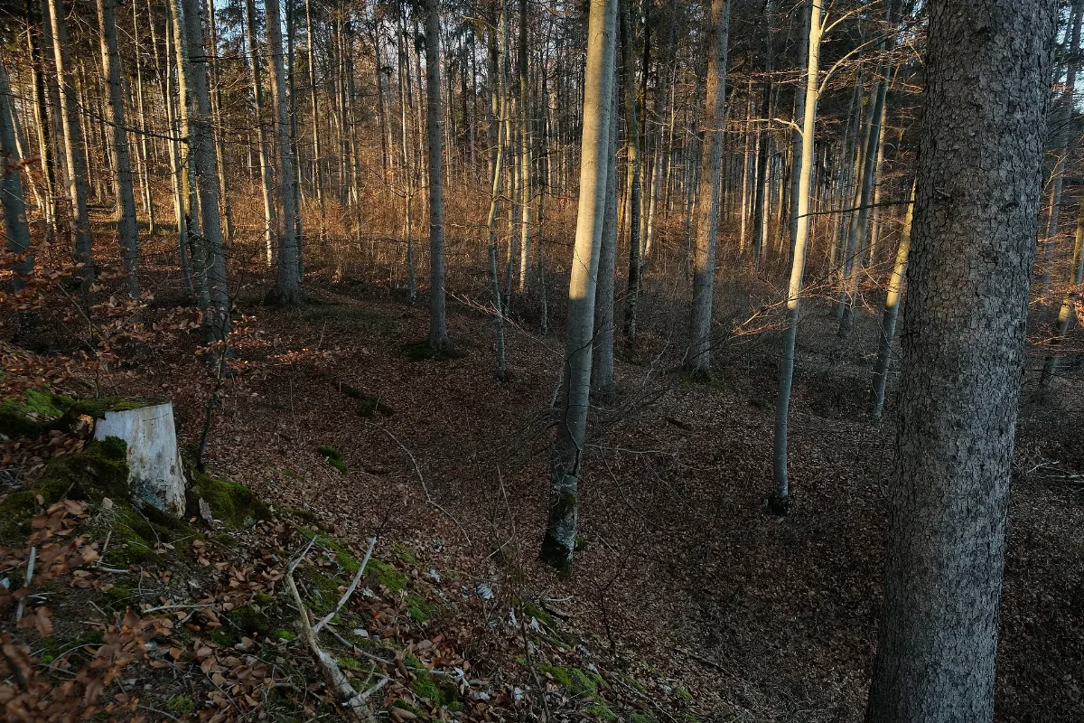 Heidenburg (Ippingen) 2444