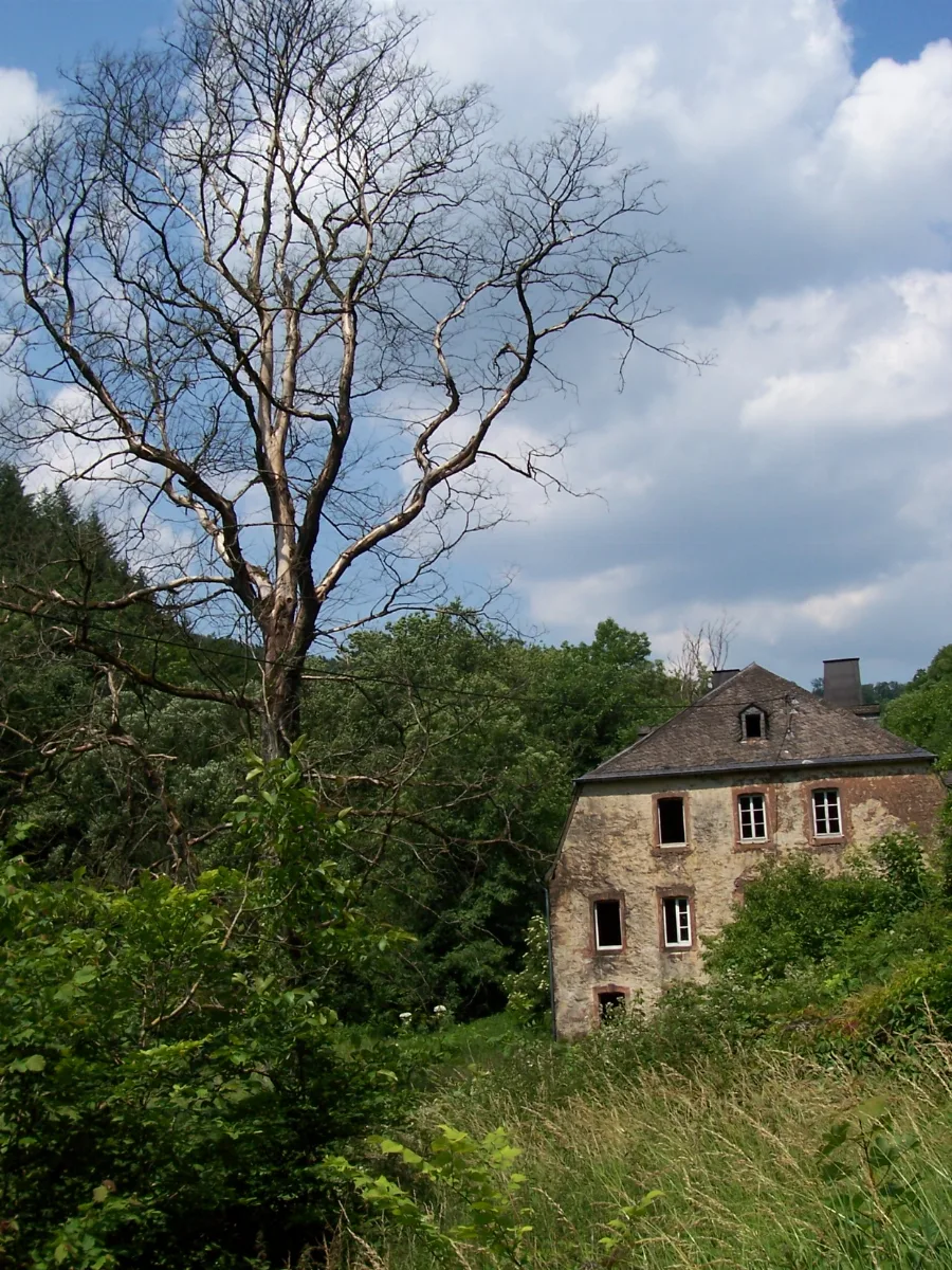 Heinzkyller Muehle