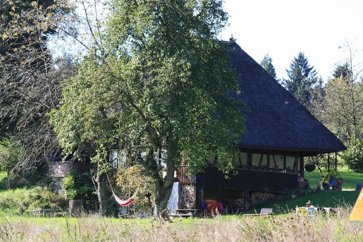 Hendschiken Strohdachhaus Ksg 9857 2012 09 28 02