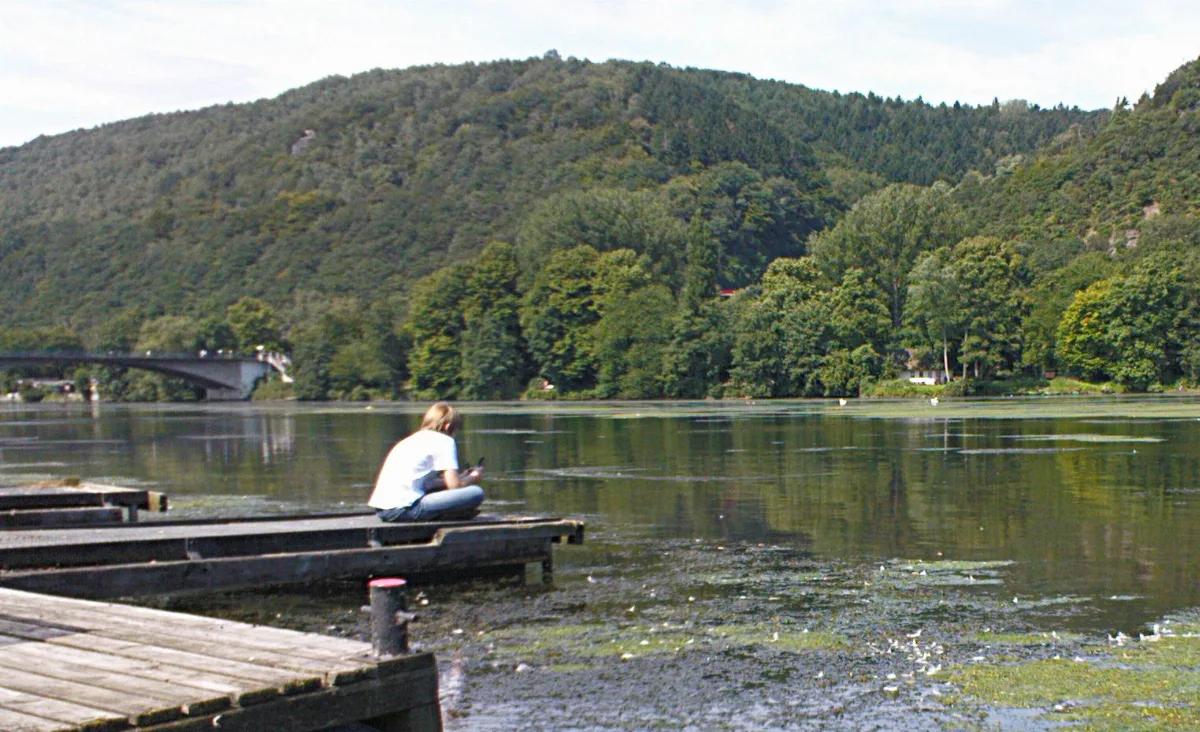 Hengsteysee 2008 Wasserpest 4