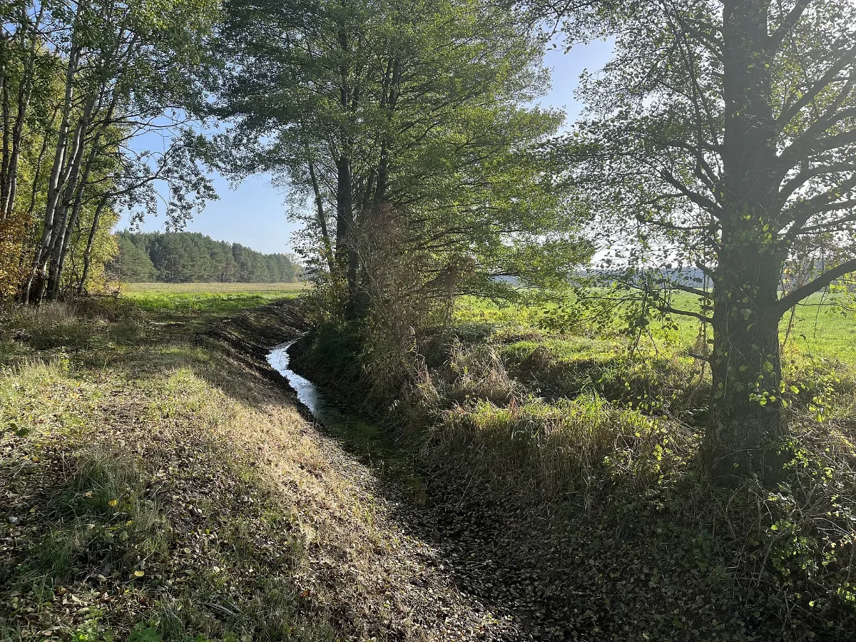 Hennickendorf Kienhorstgraben 613 Blick Nach Osten