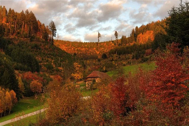 Herbstabend Bei Bergach (Evening During Fall Near Bergach) Geo.hlipp.de 6096