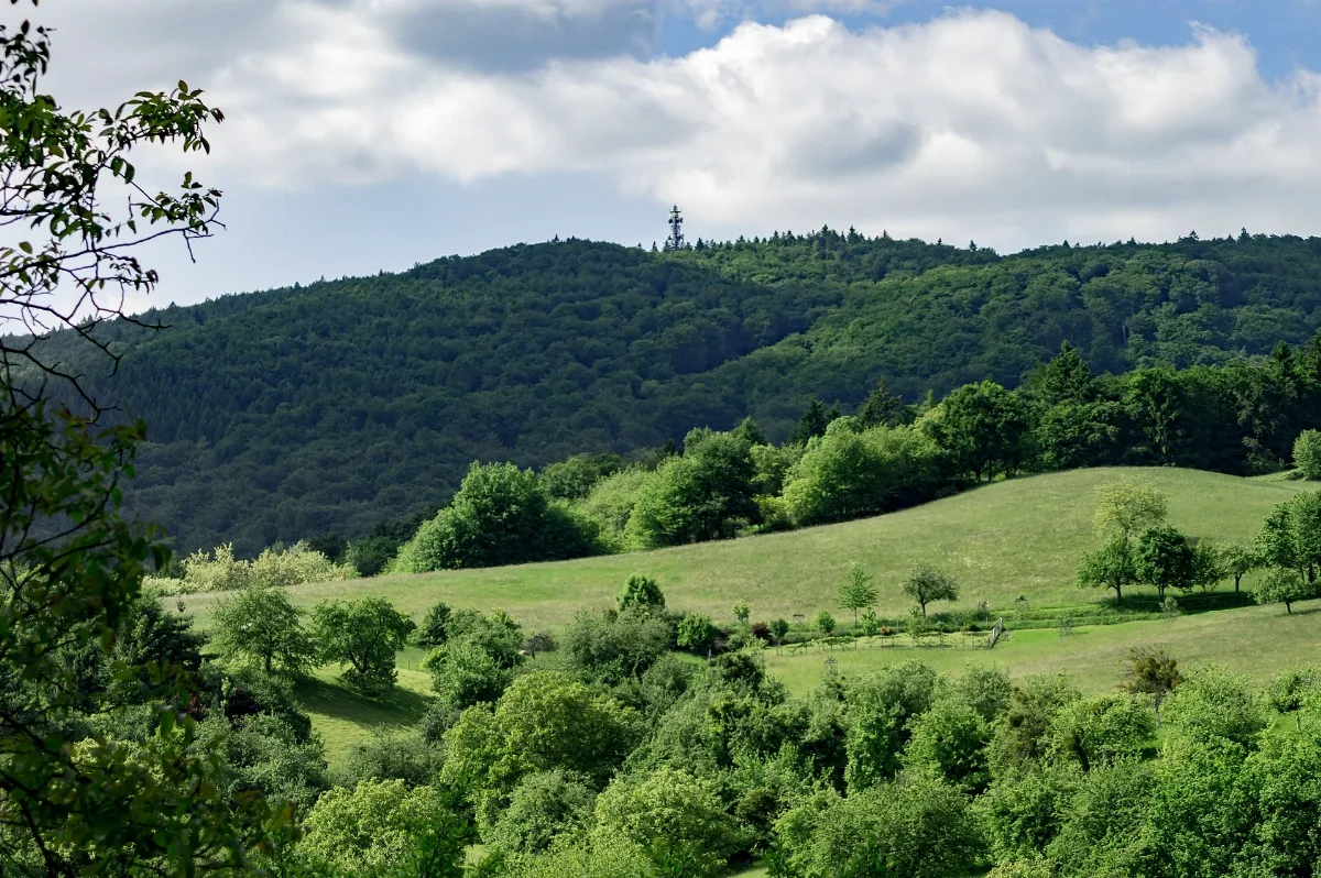 Hessen Lautertalodenwald Reichenbach Nsgfelsberg1431001
