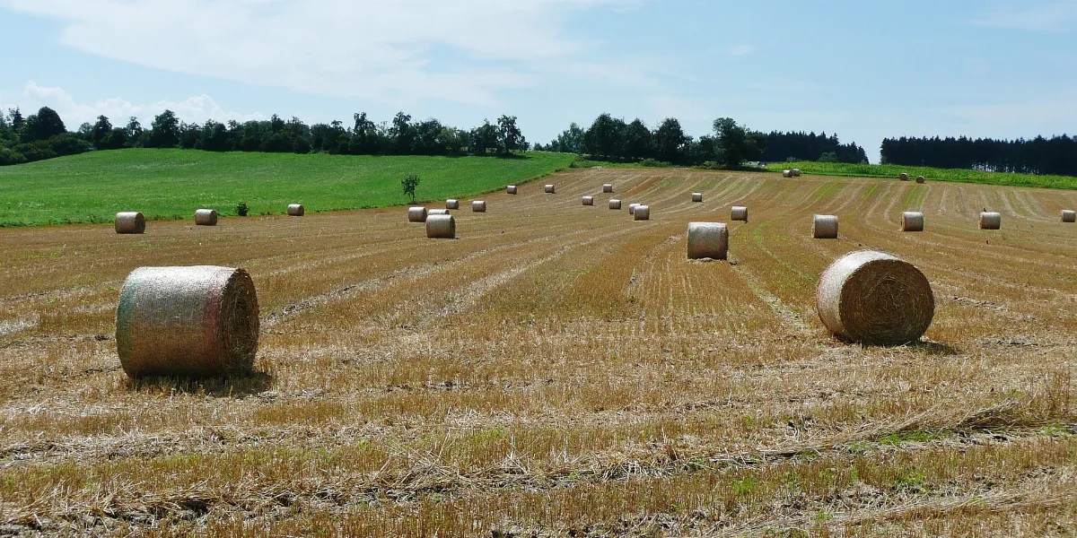 Heuballen Panoramio