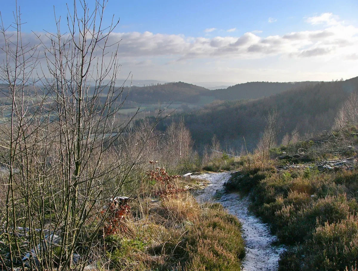Hintertönsberg06