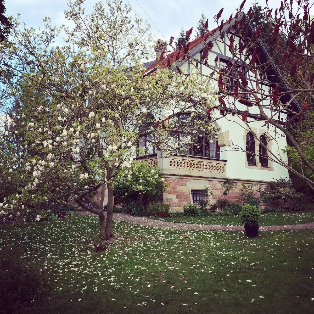 Hönigen