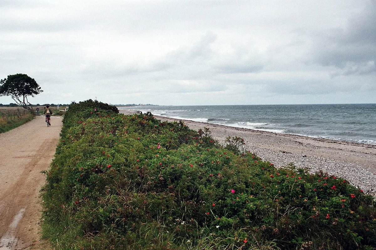 Hohenfelde (Krs. Plön), Weg Am Strand