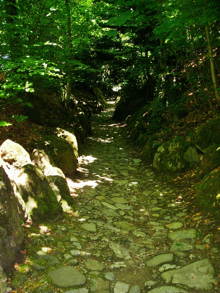 Hohle Gasse02