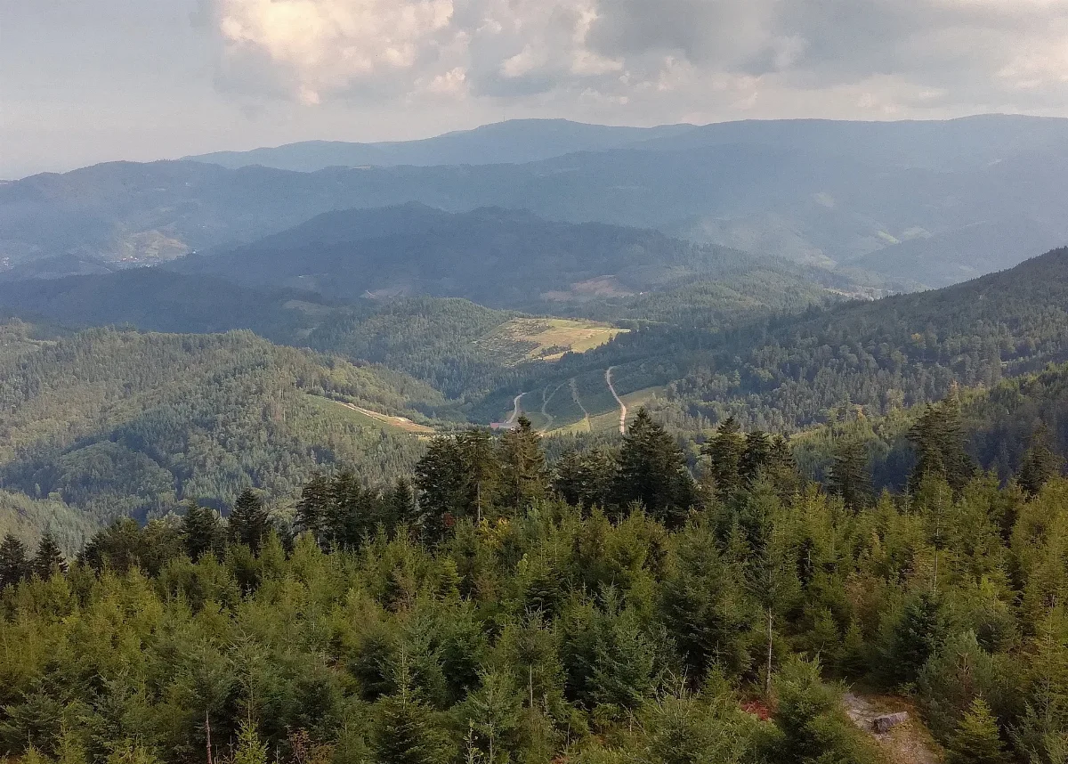 Hornisgrinde Von Moosturm Nne 20190902 1034