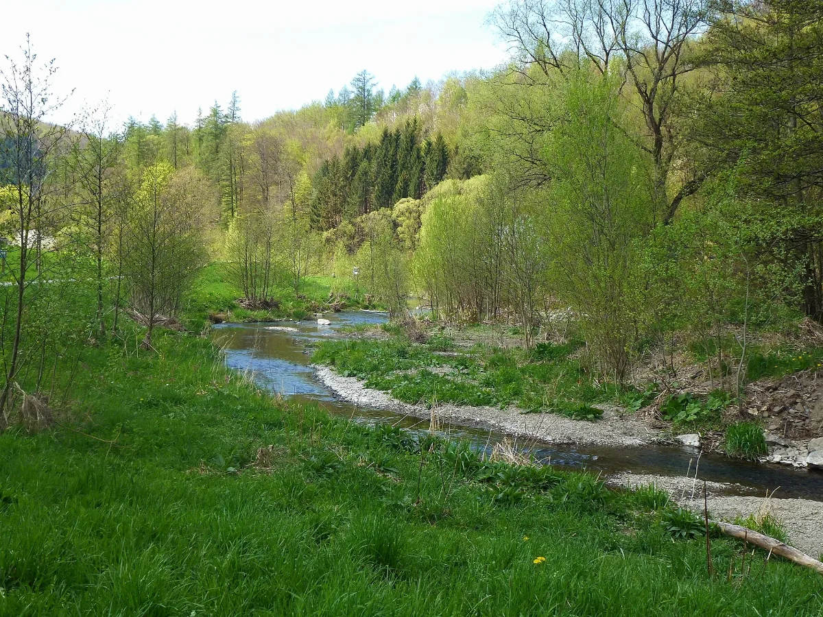 Hsk 286 Ruhrtal Bei Olsberg