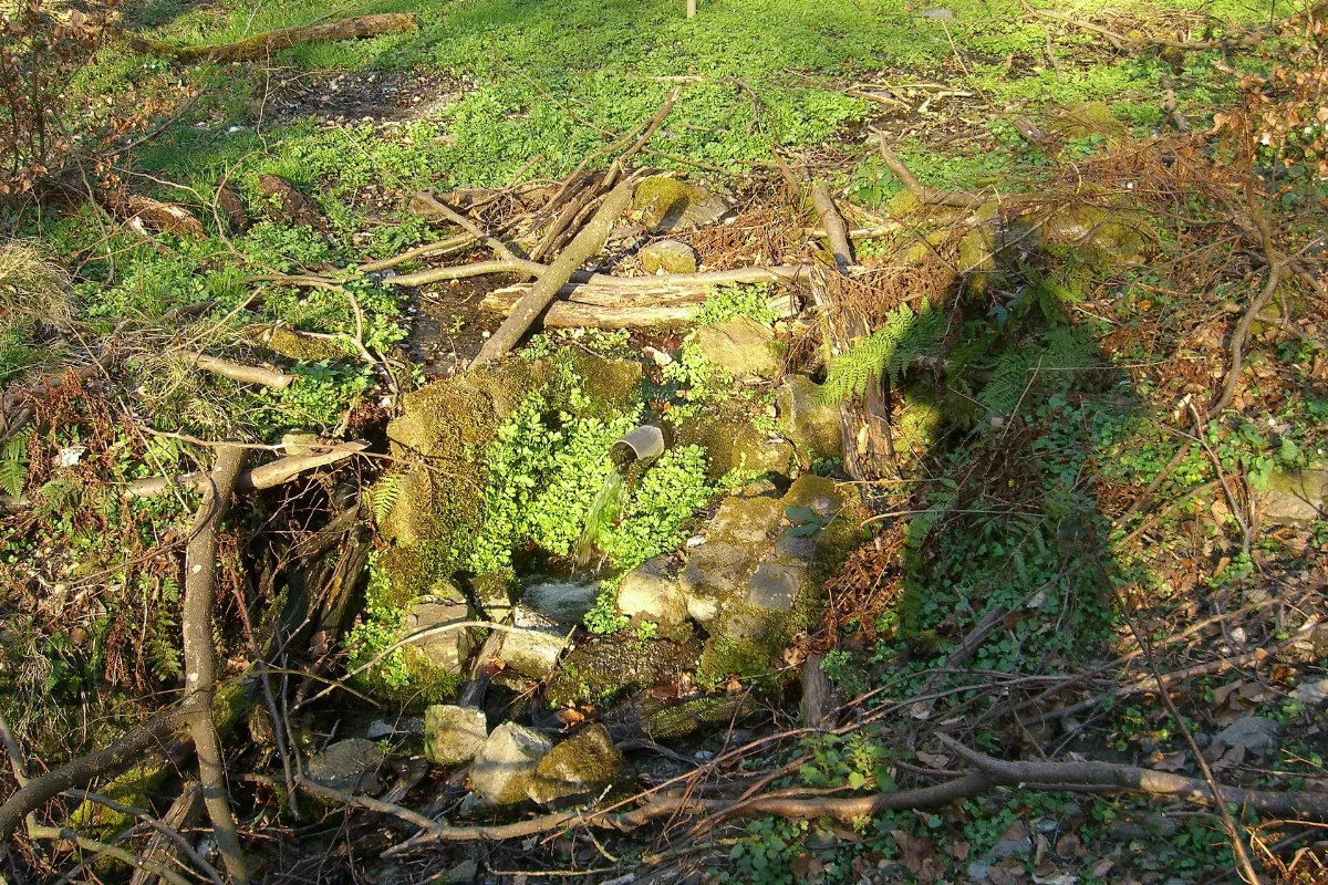 Hubertusquelle Dachsenhausen