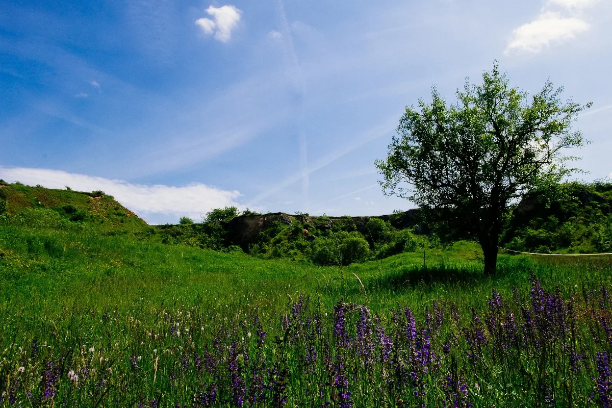 Im Kalksteinbruch Rosengarten Blick Nach Südost