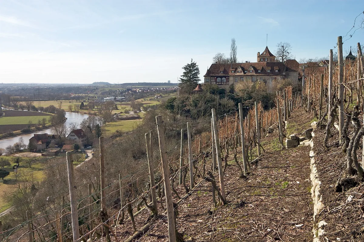 Ingersheim (Neckar) Kleiningersheim Schloss Ansicht Vom Schönblick Mit Weinbergen