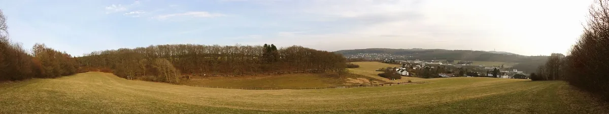 Irle Wiesen Hügel Panorama 12.3.2011 Panoramio (2)