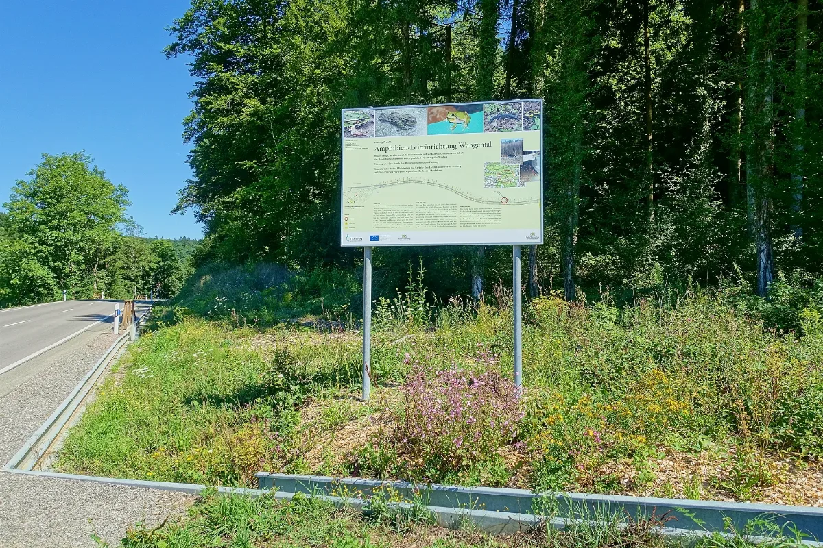 Jestetten Naturschutzgebiet Kapellenhalde Wüster See Bild 5