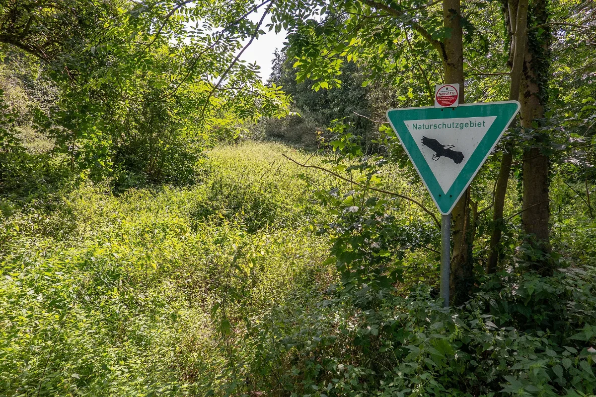 Kalletal Lüdenhausen Nsg Quellbereich Der Osterkalle