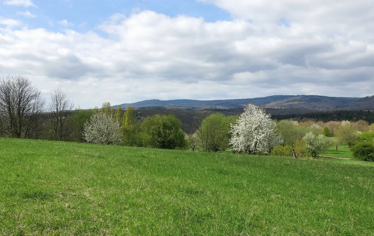 Kalte Herberge Von Osten