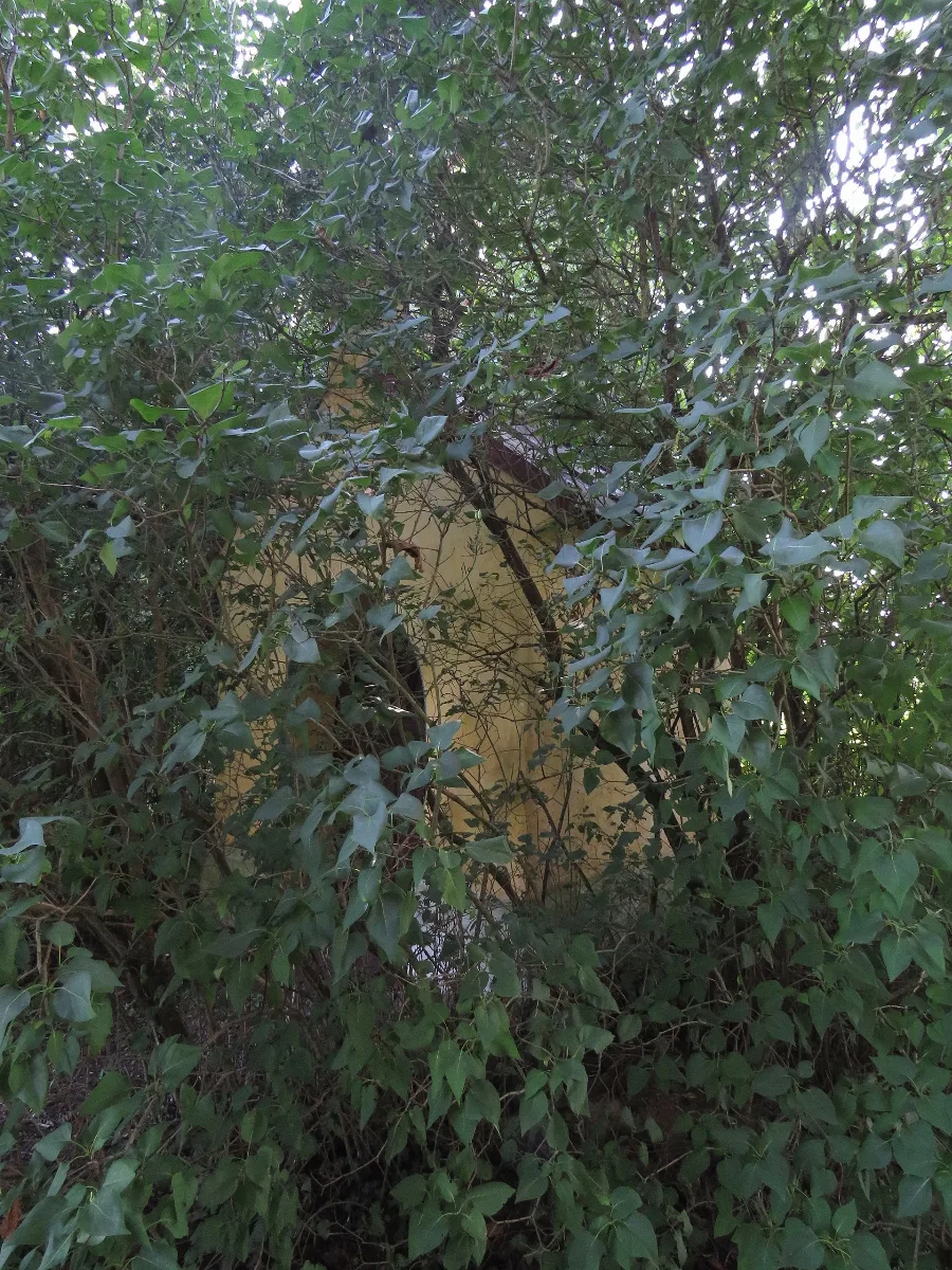 Kapelle Bei Pettenbrunn (Freising) 03