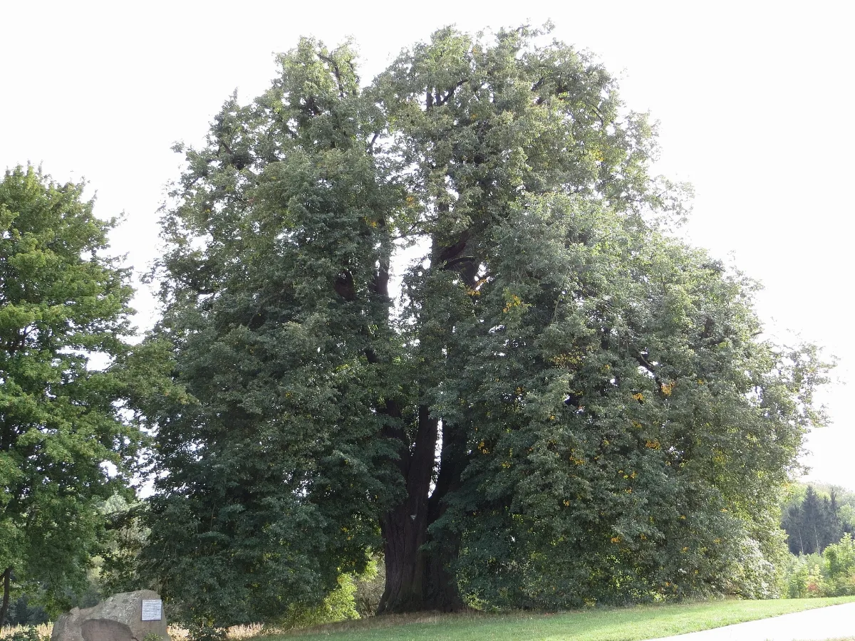 Kirchhausen Annalinde 20120920 2