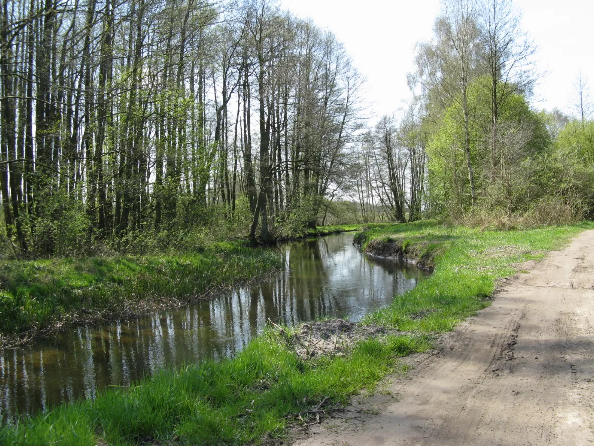 Klein Pankow Gehlsbach 2008 04 24 114