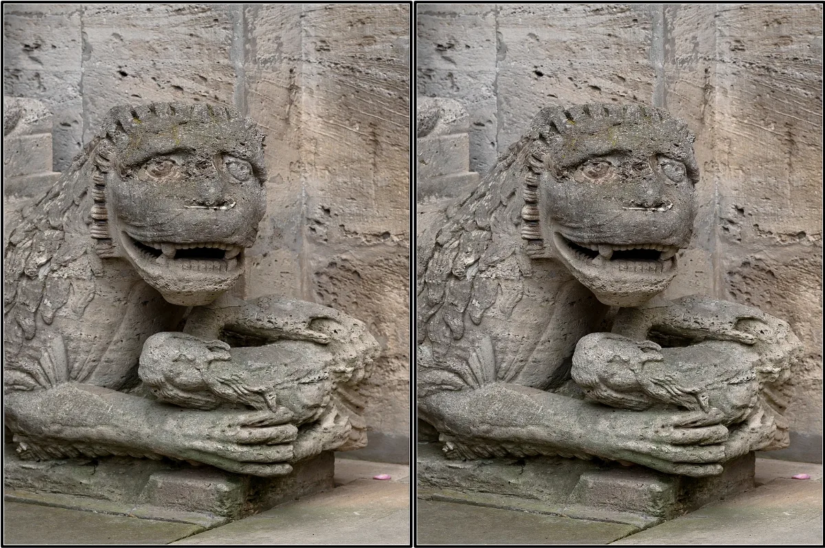 Koenigslutter Kaiserdom Loewenportal Links Dsc04778L Dsc04779R Detail 1 Stereo Ptrqs