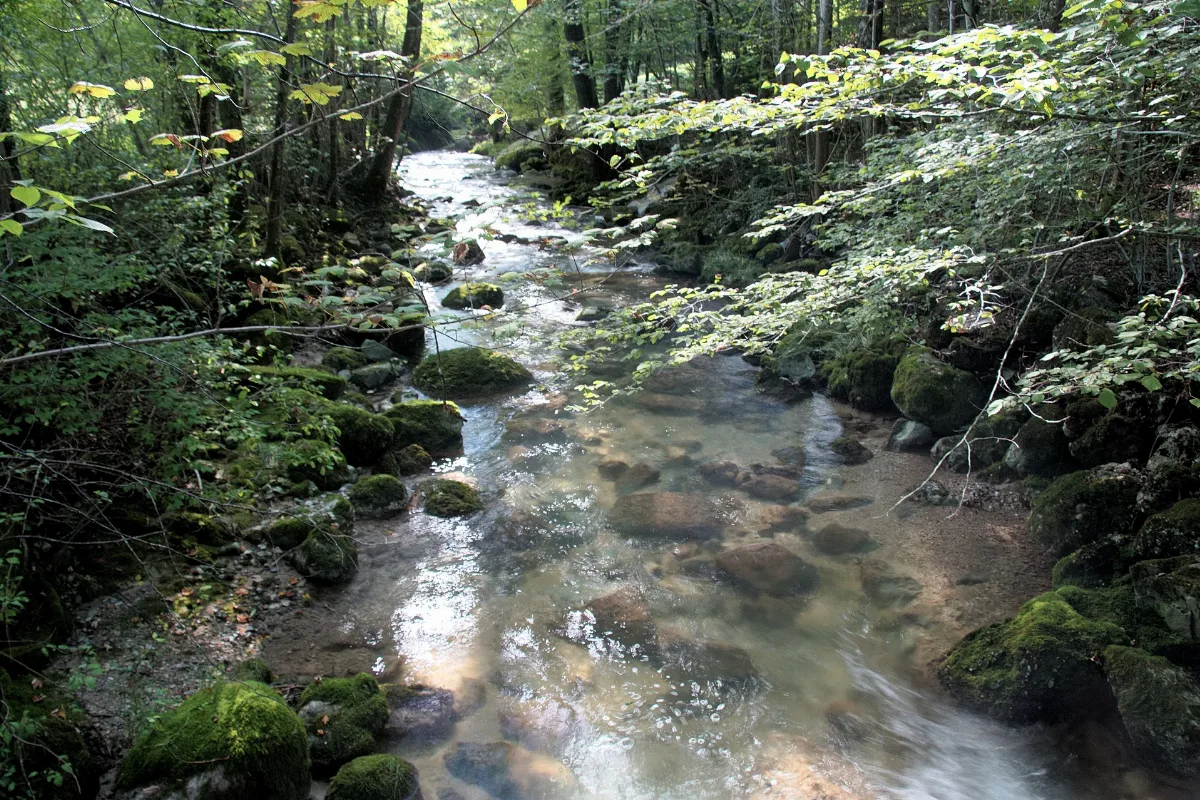Koppl Guggenthal Alterbach 2016 09 23 2