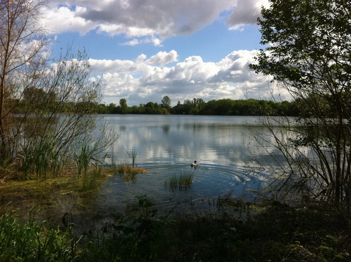Kräppelweiher 6