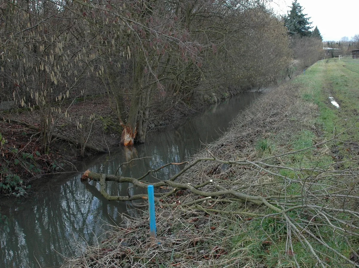 Krebsbach Bei Nidderau