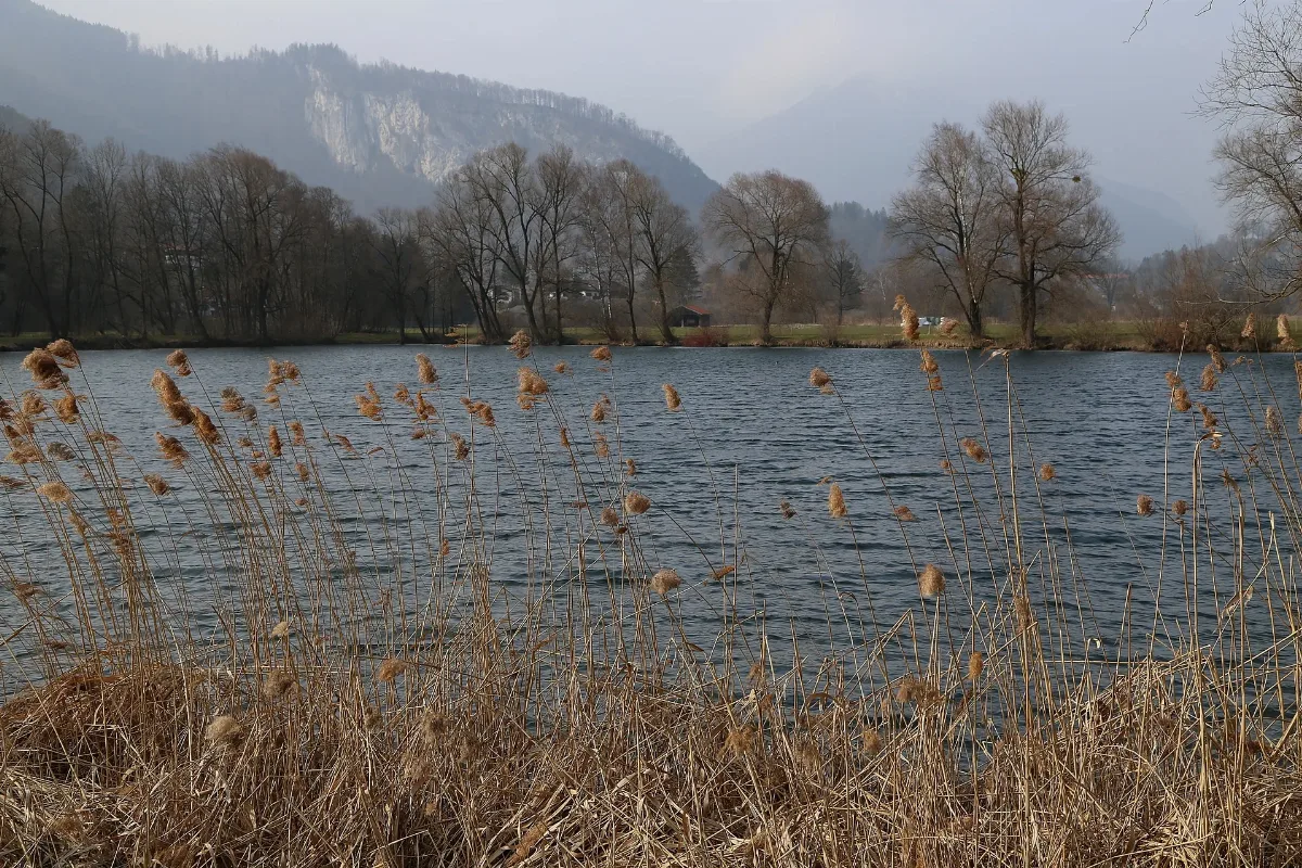 Kreutsee Kiefersfelden 2