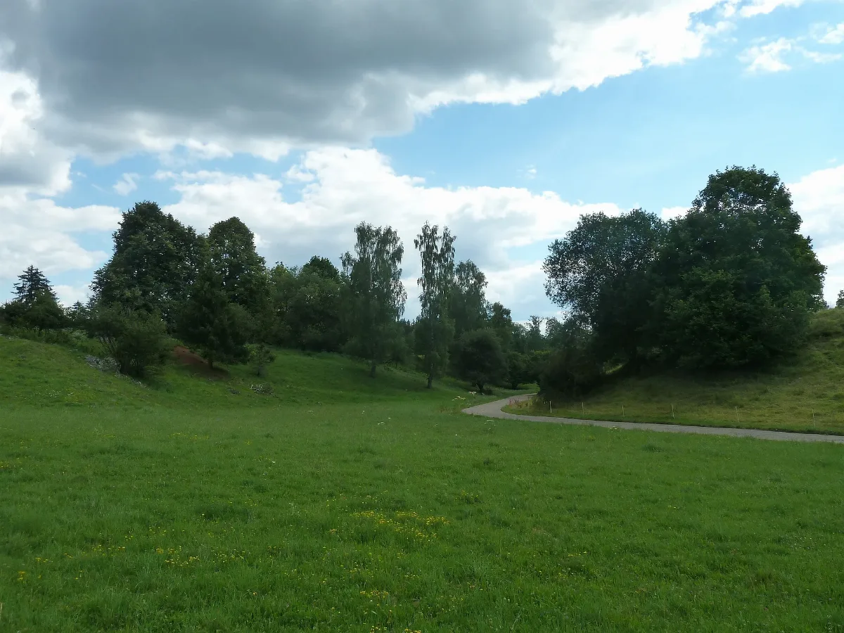 Krummes Tal Bei Waldhausen