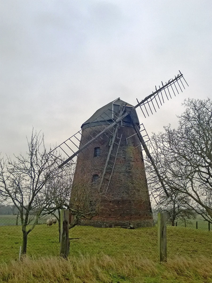 Kuhfelde Woepel Windmuehle 3