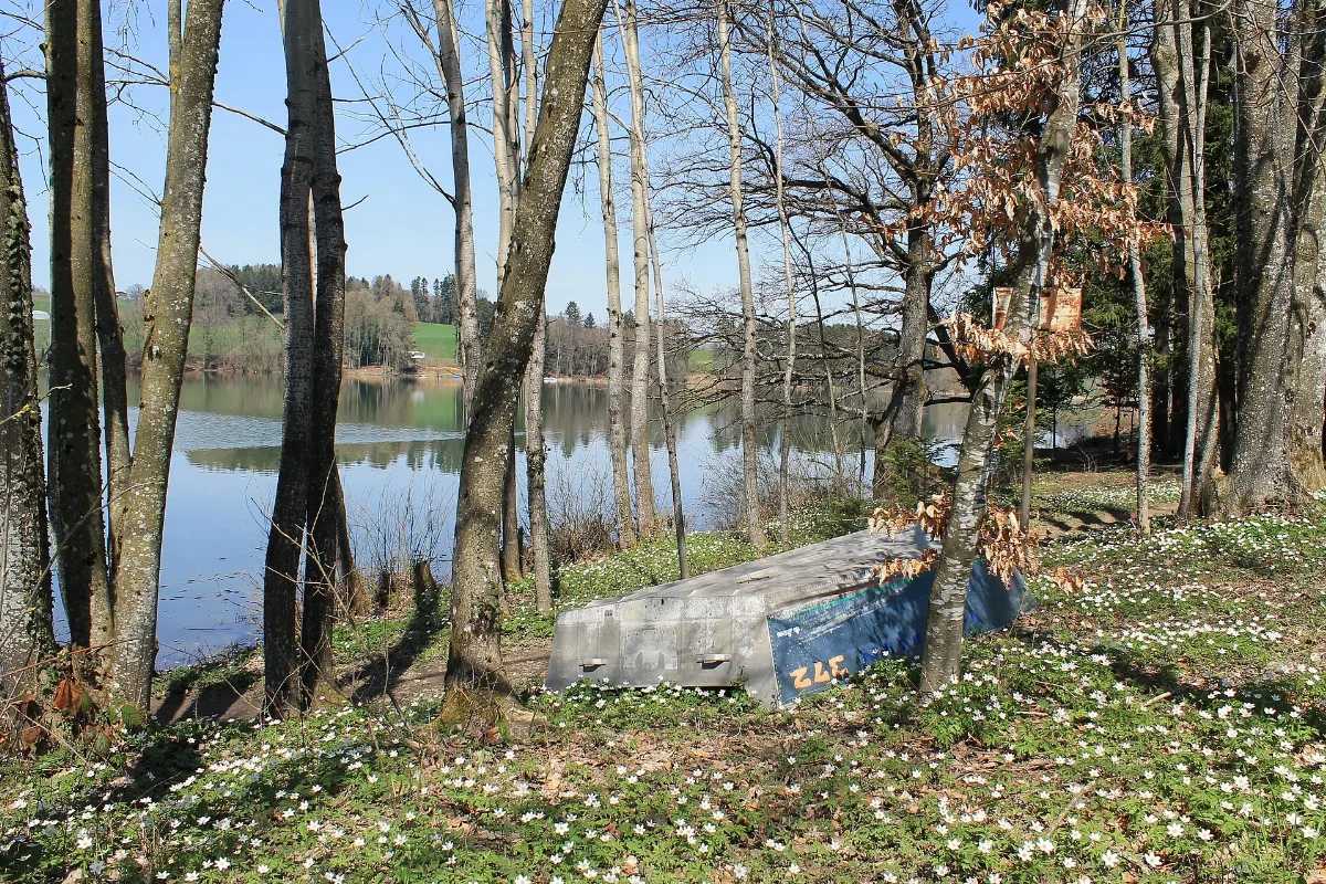 Lac De Bret Panoramio (29)