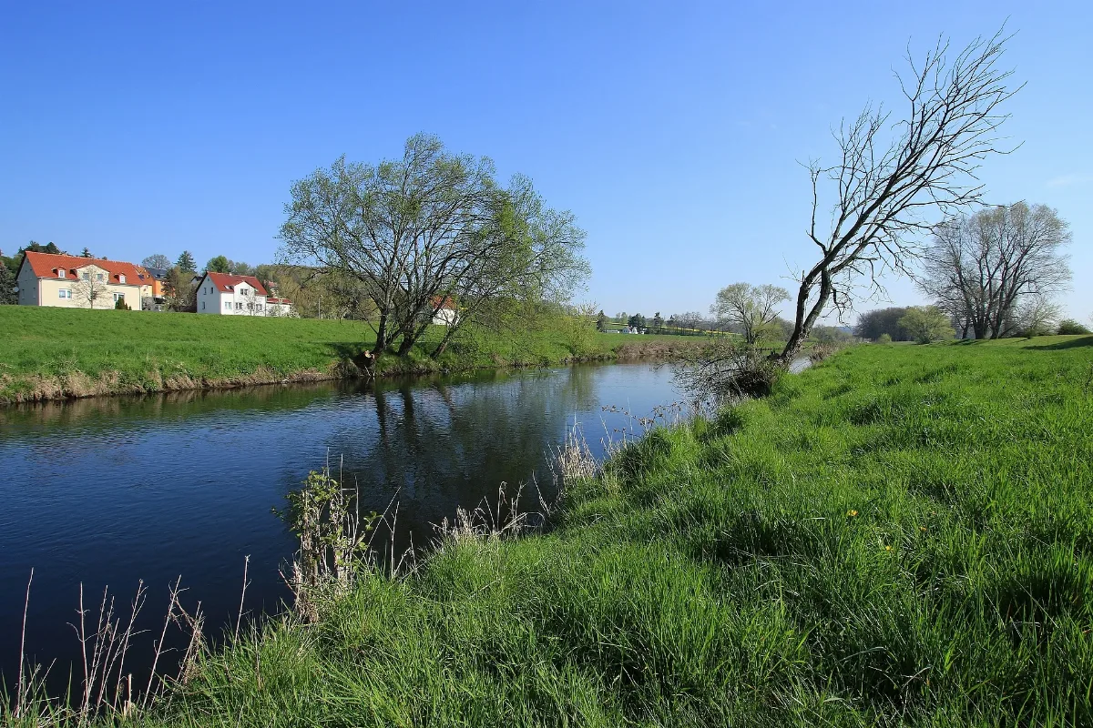 Landschaft An Der Zwickauer Mulde Im Dorf Remse...2H1A8129Wi