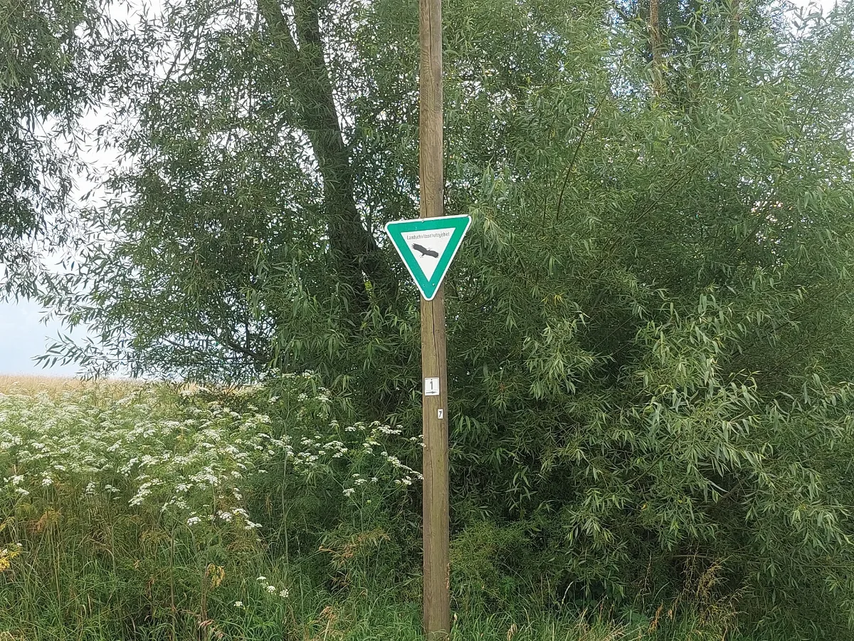 Landschaftsschutzgebiet In Alte Hessentaler Str. 74523 Schwäbisch Hall 4, 2024 06 23