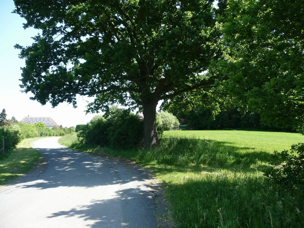 Landschaftsschutzgebiet Riemsloher Wald Melle Datei 1