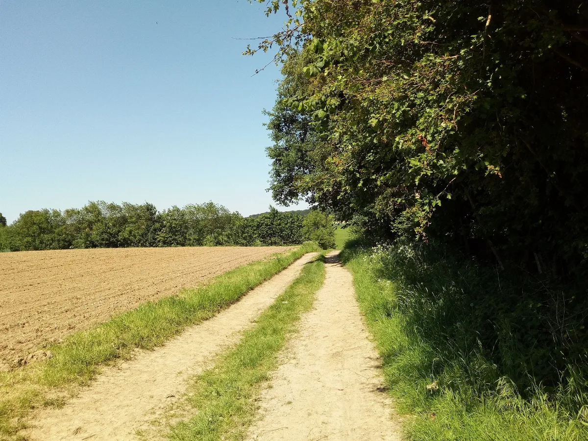 Landschaftsschutzgebiet Waldgebiet Eickholt Melle Datei 4