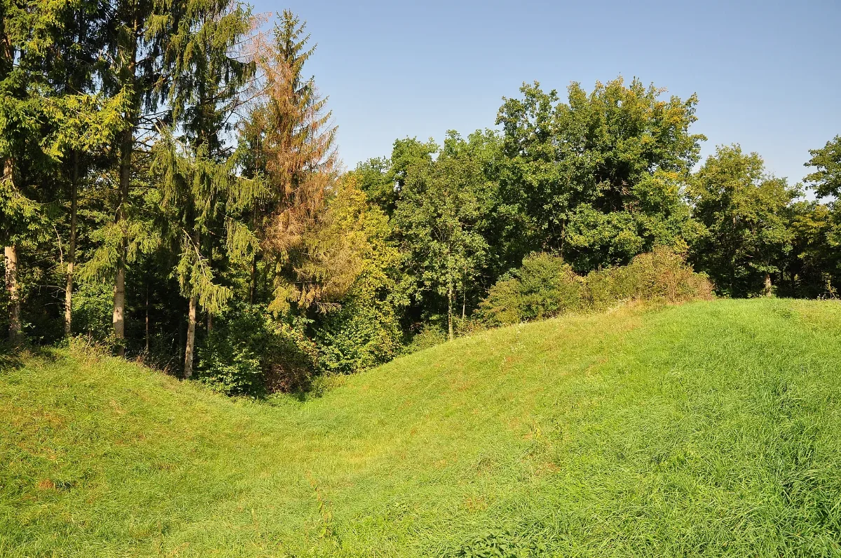 Leebern, Teil Der Spätrömischen Rheinbefestigung In Weiach 2011 09 15 11 45 28