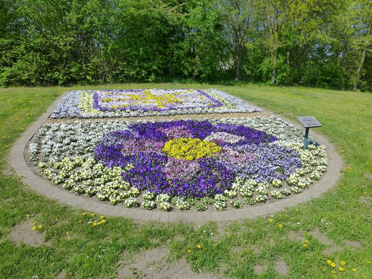 Lippstadt Blumen P1010597 (8708738735)