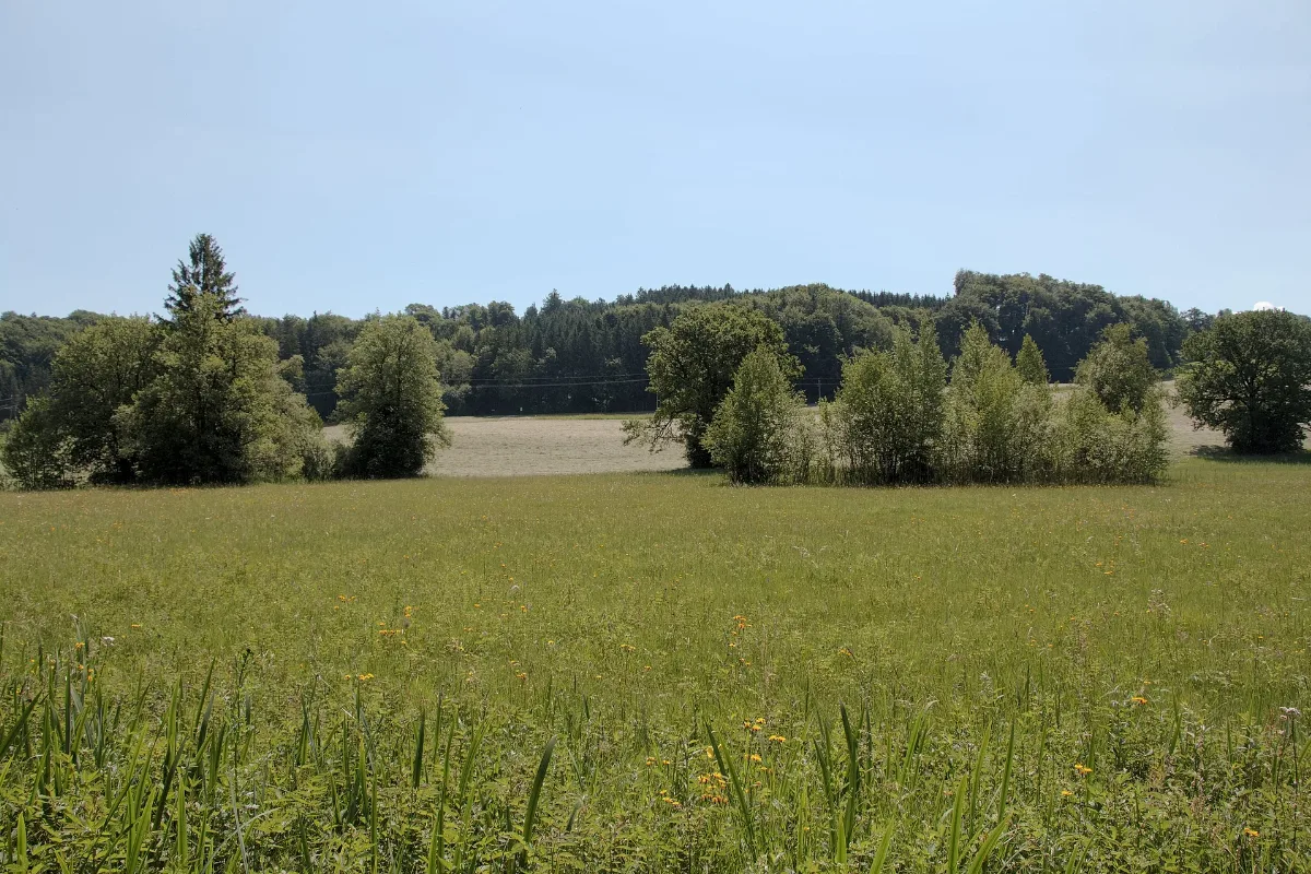 Lochen Nordmoor Am Mattsee 2019 06 04 2