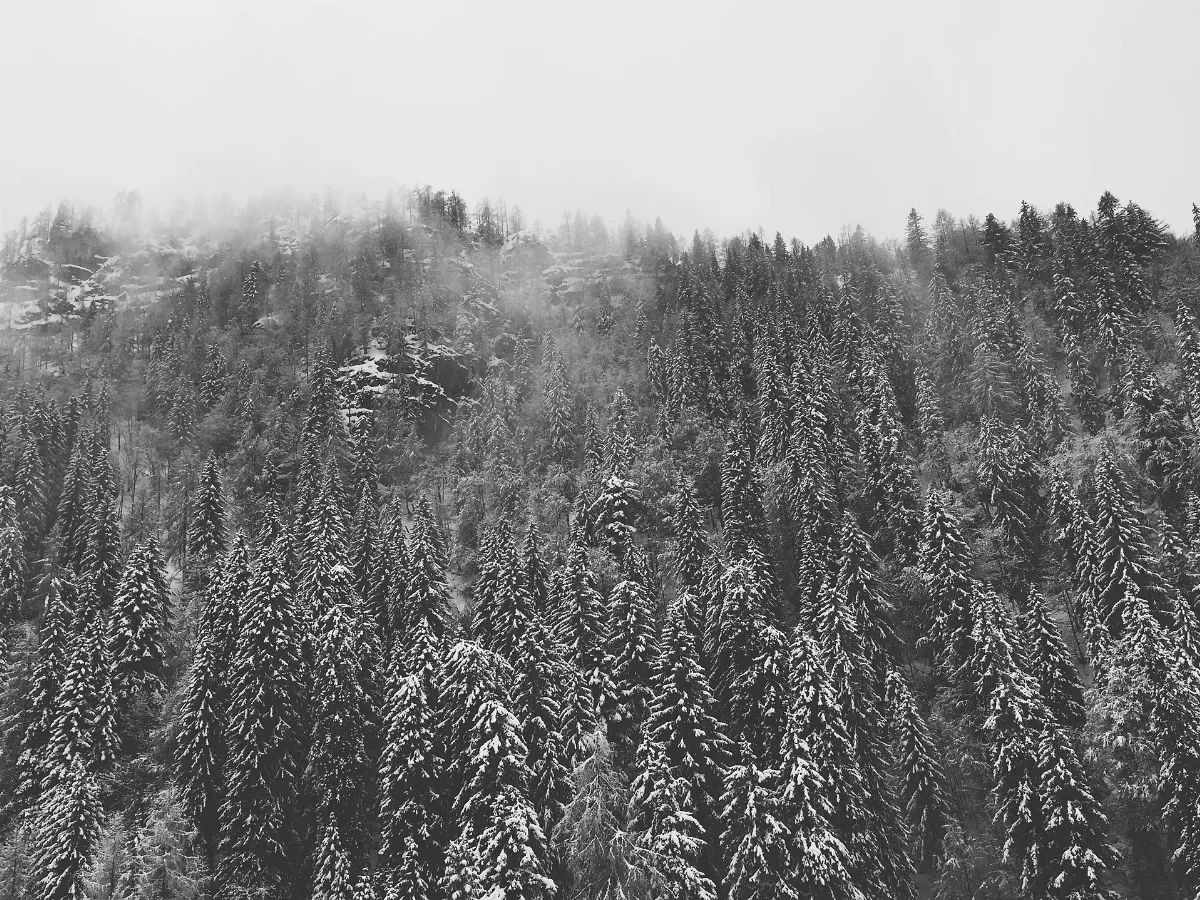 Lofer, Austria (Unsplash)